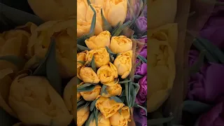 Всё для тебя! Сегодня и всегда 💐