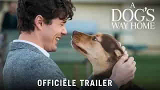 A Dog's Way Home - HD trailer