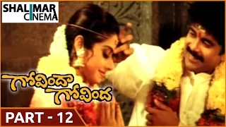Govinda Govinda Movie || Part 12/12 || Akkineni Nagarjuna, Sridevi || Shalimarcinema