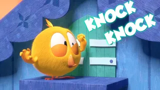 ¿Dónde está Chicky? 2022 | KNOCK KNOCK | Dibujos Animados Para Niños | Nuevos episodios