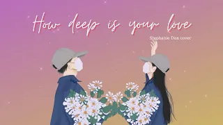 🌻How deep is your love - Stephanie Dan cover | Lyrics + Vietsub