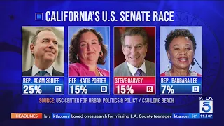 Contenders fight for California Senate seat