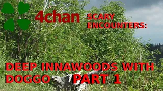 4Chan Scary Encounters - Deep Innawoods with Doggo: PART 1