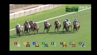 2021 04 11 沙田 第八場 莫雷拉 速遞奇兵