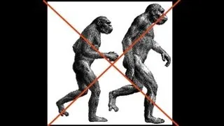CARTA: The Upright Ape: Bipedalism and Human Origins -- Carol Ward: Early Hominin Body Form