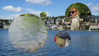 Lugano. Una passeggiata sul lungolago.