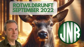 Rotwildbrunft September 2022