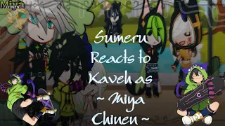 🌵Sumeru reacts to Kaveh as Miya Chinen🌵 | Haikaveh🌱🏛️ | Sk8 + Genshin Impact | 🪸Coral Reef🪸