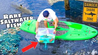 Catching Exotic Aquarium FISH Under SECRET Dock! (For Saltwater Pond)