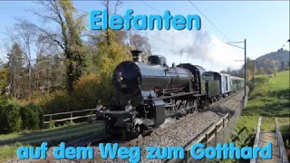 Elefanten auf dem weg zum Gotthard