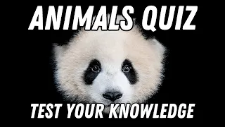 Animal World Quiz - How Many Can You Answer?