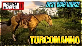 ECCO IL MIGLIOR CAVALLO DA GUERRA DI RED DEAD REDEMPTION 2 - TURCOMANNO ORO / COME AVERLO - RDR2 ITA