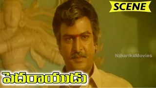 Mohan Babu Best Dialogue - Pedarayudu Introduction Scene - Pedarayudu Movie Scenes