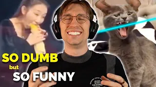 Tiktoks Funniest Videos