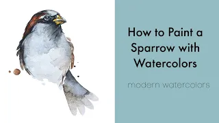 How to paint a Sparrow with watercolors