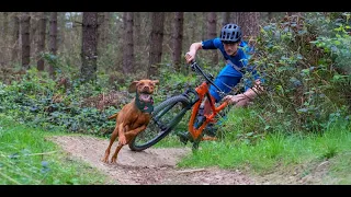 DOWNHILL Vs DOGS