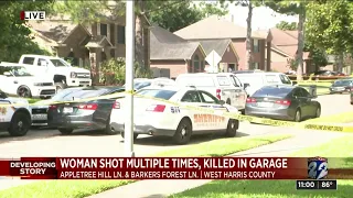 Woman shot at nearly 50 times, killed while pulling into her garage, deputies say