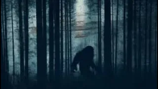 Bigfoot/Dogman