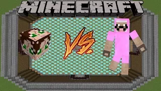 PINK SHEEP - MINECRAFT 1.8.9 - LUCKY BLOCK SURVIVAL (MODDED MINI-GAME)