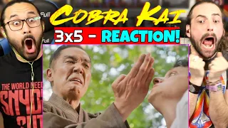 COBRA KAI 3x5 - REACTION!! "Miyagi-Do" (Season 3 Episode 5)