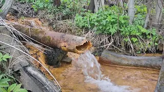 Источник воды с большим содержанием железа. "Ржавец".