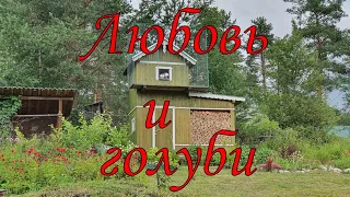 Любовь и голуби(1983 - 2020 года). Наш любимый фильм!))