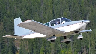 Grumman American AA-5 Tiger In Action