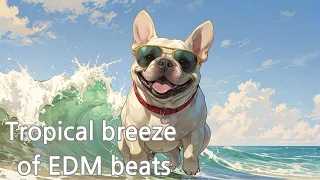 Tropical EDM breeze with frenchie.