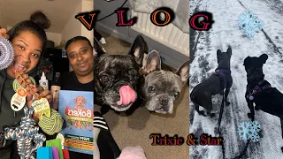 VLOG - Je vous présent TRIXIE et STAR!🐾🫣 #shopping #routine