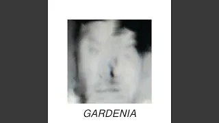 Gardenia