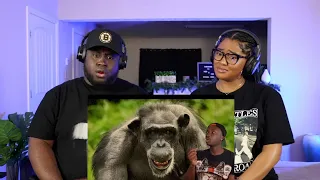 Kidd and Cee Reacts To Animals Getting Elevated and Outrageously Faded (Casual Geographic)