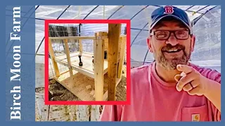 DIY Chicken Breeding Pen - Video #2 | Breeding and Hatching