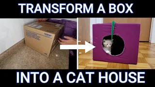 Transform a Simple Box into a Cat House / Fabriquer une maison en carton pour chat