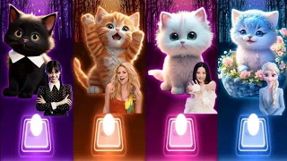 Cute Cats Songs | Wednesday Dance Bloody Mary | Shakira Waka Waka | Jisoo Flower Dance | Elsa Enemy