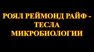 Как убивают истинное. РОЯЛ РЕЙМОНД РАЙФ.