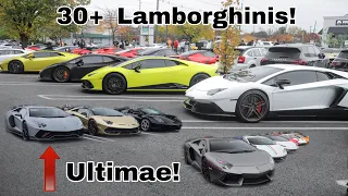 30+ Lamborghinis Takeover Car Show! *NEW Aventador Ultimae Revving*
