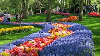 Keukenhof 2019