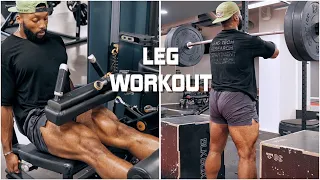 THE PERFECT LEG WORKOUT TO BUILD BIG STRONG LEGS | Beginners & Advanced | My Top Tips