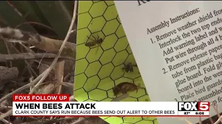 Clark County advises people to run if attacked by bees