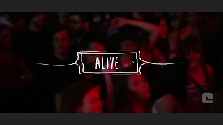 Dub Pistols | Alive | Live In Athens