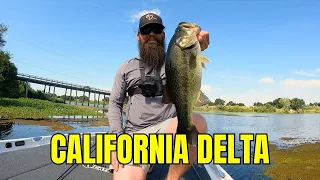 A Weekend on the CALIFORNIA DELTA