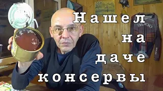 ДИКАРЬ. Один зимой на даче. Без водки и спичек.