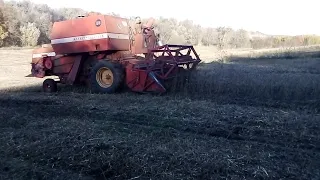 КОМБАЙН MASSEY FERGUSON 186 НАСТОЯЩИЙ СКАЛОЛАЗ! ЦЕ ЖЕСТЬ! МОЛОТИМО СОЮ. ЧАСТИНА 1