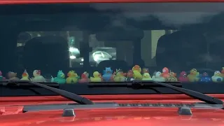 Why do Jeeps have little rubber ducks on the dashboard?