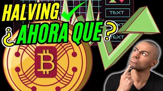 ⭕️BITCOIN HALVING⭕️NO TE DEJES ENGAÑAR❗️❗️👉 ALTSEASON EN MARCHA💥Análisis bitcoin hoy