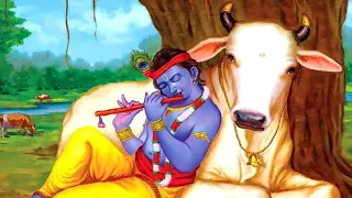 Amazing Sri Krishna Flute music for Relaxing,Deep sleep Mind and body  Meditation,Stress relief