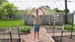 3 Common Cucumber Trellising MISCONCEPTIONS!