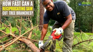 Using a Reciprocating Saw to Cut Tree Branches