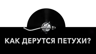 Как дерутся петухи? 🐔 Звук дерущихся петухов и какие звуки издают петухи