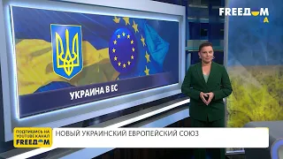 Украинский Европейский Союз. Реализация целей